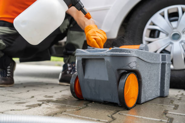 How Our Tree Care Process Works  in  East San Gabriel, CA